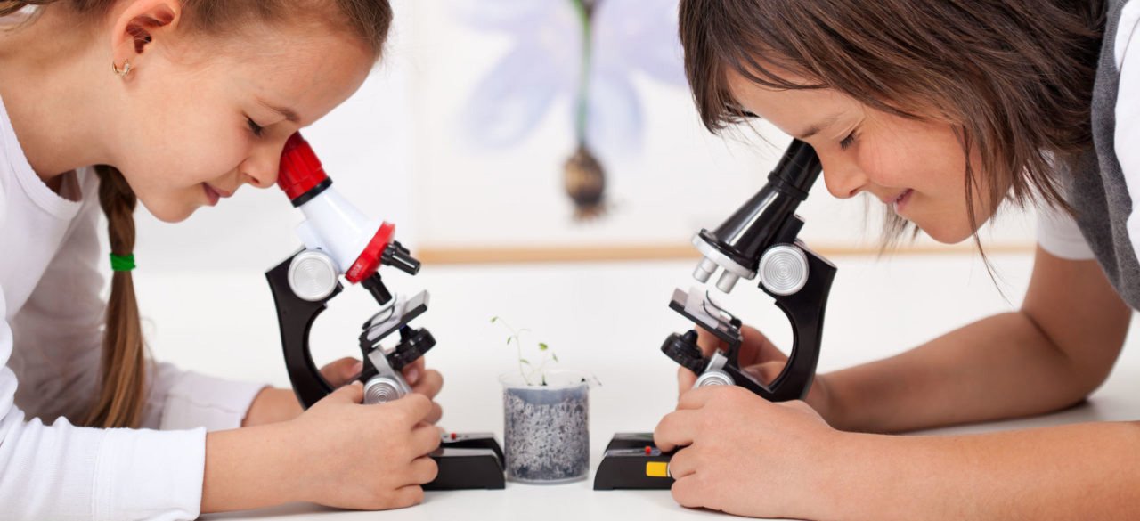 микроскопы детские в Новосибирске